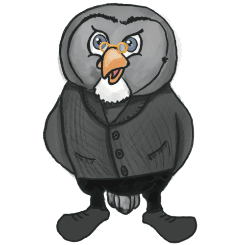 Mr. Owl Teacher